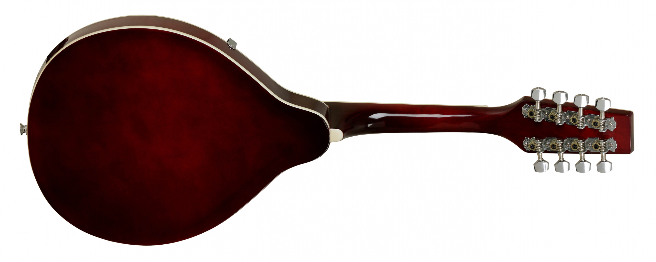 Tanglewood Mandolins TWMTWR mandoline 8 cordes