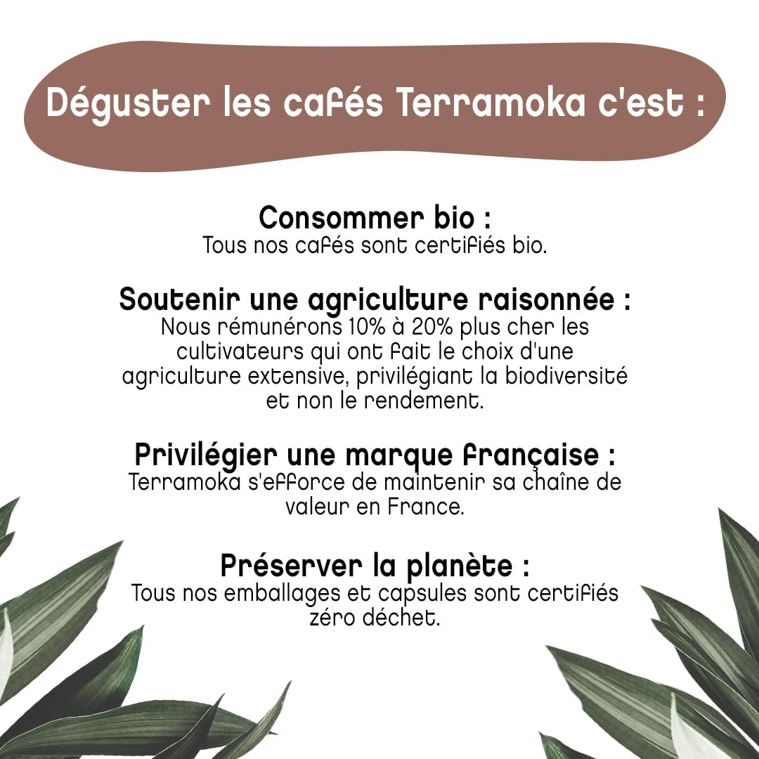 Terramoka Monsieur Albert café en grains bio Pérou 1 kg