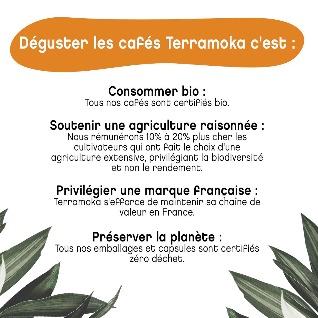 Terramoka Miss Kalinda capsules café bio arabica 300 corsé