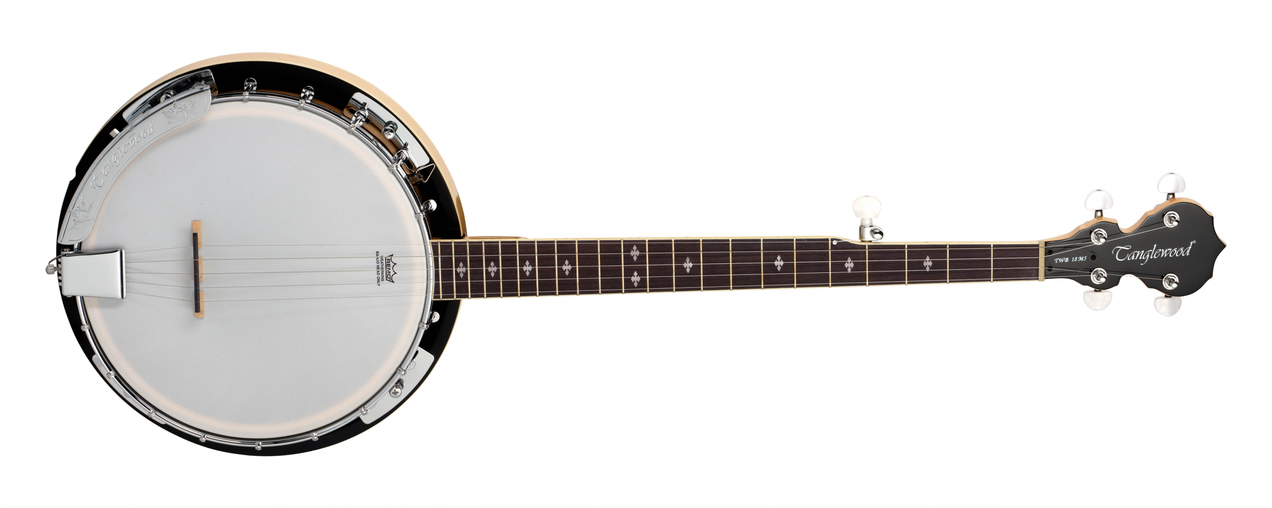 Tanglewood Banjos TWB18M5 banjo 5 cordes