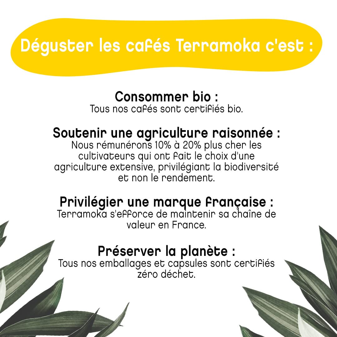 Terramoka Sir Oscar capsules café bio Ethiopie 300 fruité
