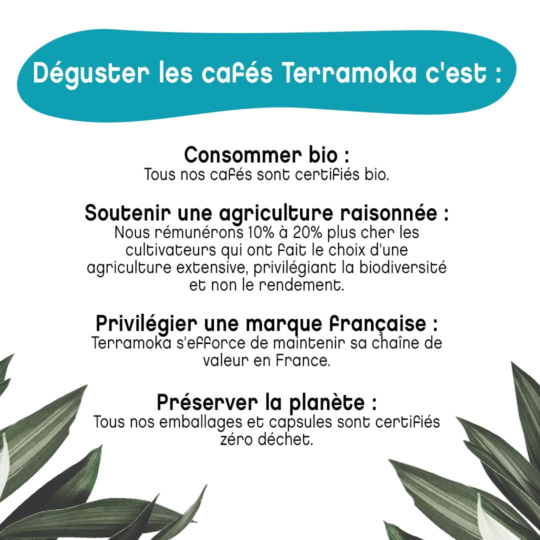 Terramoka Mister Nelson Café moulu décaféiné bio 1,25 kg fruité