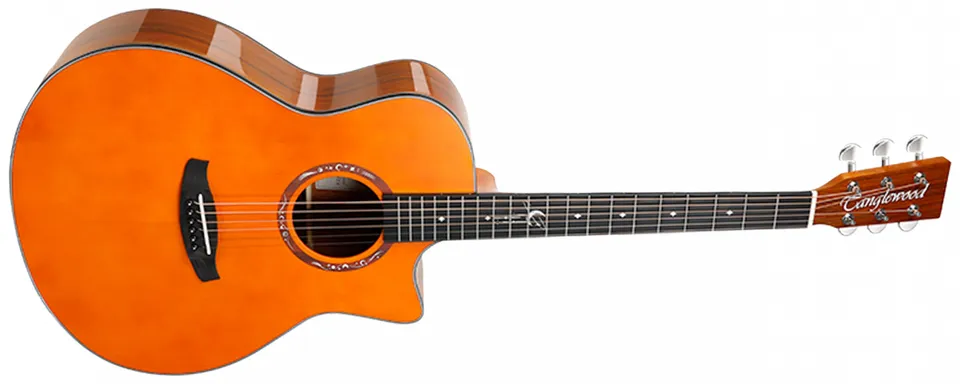 Tanglewood Lunastra T10G-VN guitare folk vintage