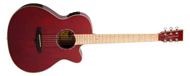 Tanglewood Winterleaf TW4CEBLB guitare électro blonde