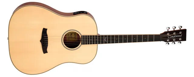 Tanglewood Premier TP5SE guitare folk électro