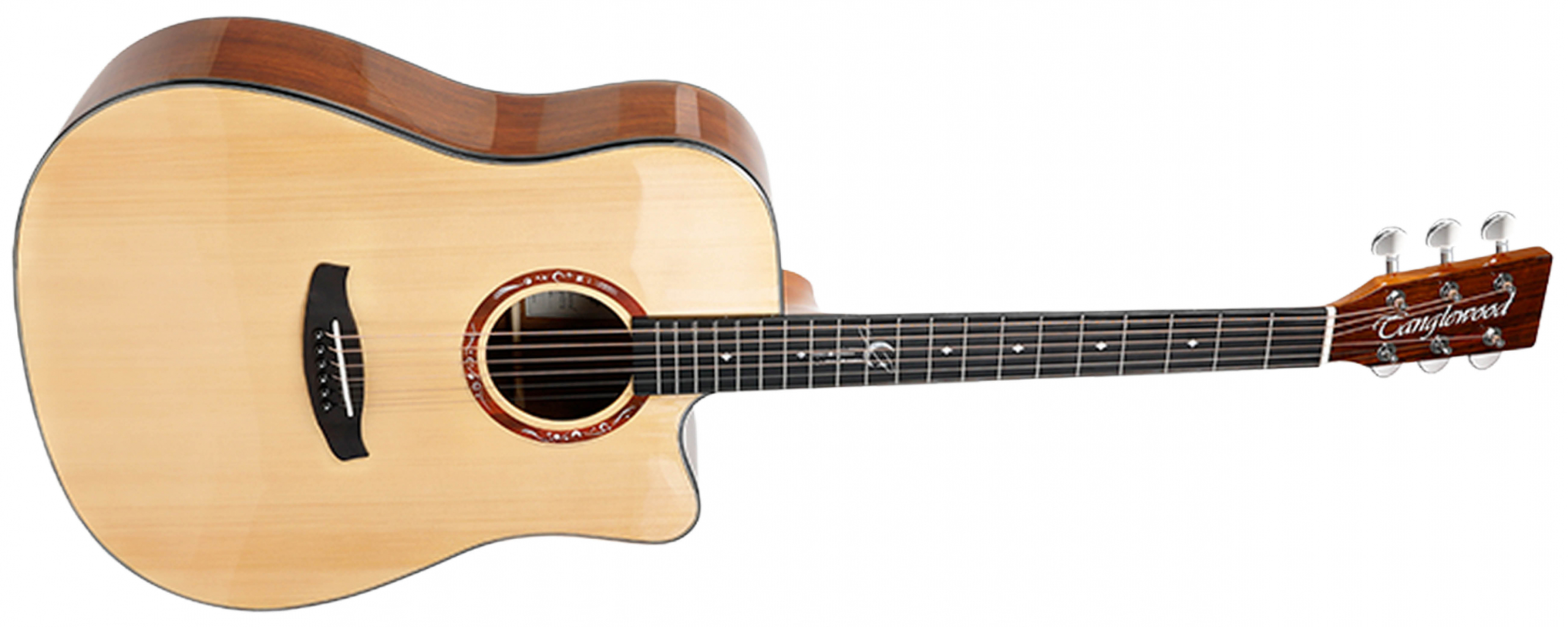 Tanglewood Lunastra T10D-NG guitare folk dreadnought