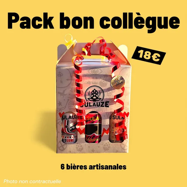 Brasserie de Sulauze Bon collègue pack 6 bières