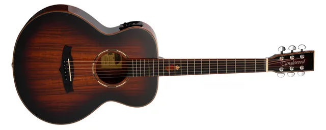 Tanglewood Winterleaf Exotic TWX1EK guitare électro pan coupé