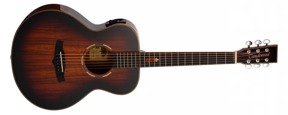 Tanglewood Winterleaf Exotic TWX1EK guitare électro pan coupé