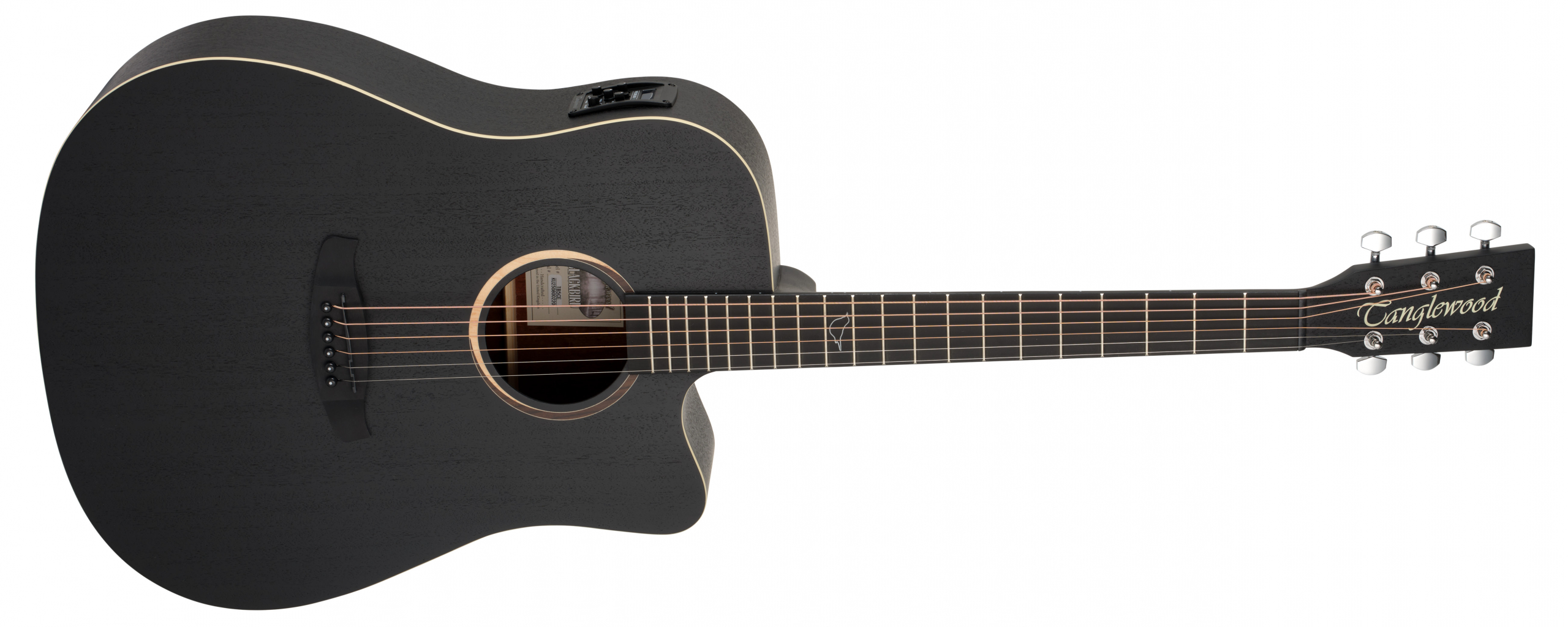 Tanglewood Blackbird TB5CE basse acoustique 5 cordes