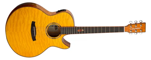 Tanglewood Winterleaf Exotic TWX6 CE guitare électro