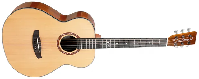 Tanglewood Lunastra T10S-NA guitare folk naturelle