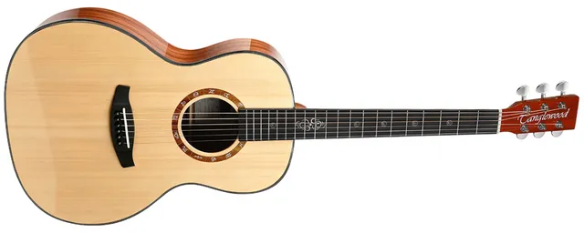 Tanglewood Zodiac T2000-NA guitare folk naturel