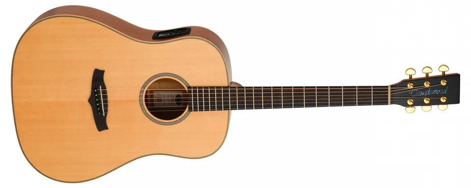 Tanglewood Great Britain TGB5SE guitare électrique 6 cordes