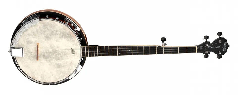 Tanglewood Banjos TUB5 banjo 5 cordes folk