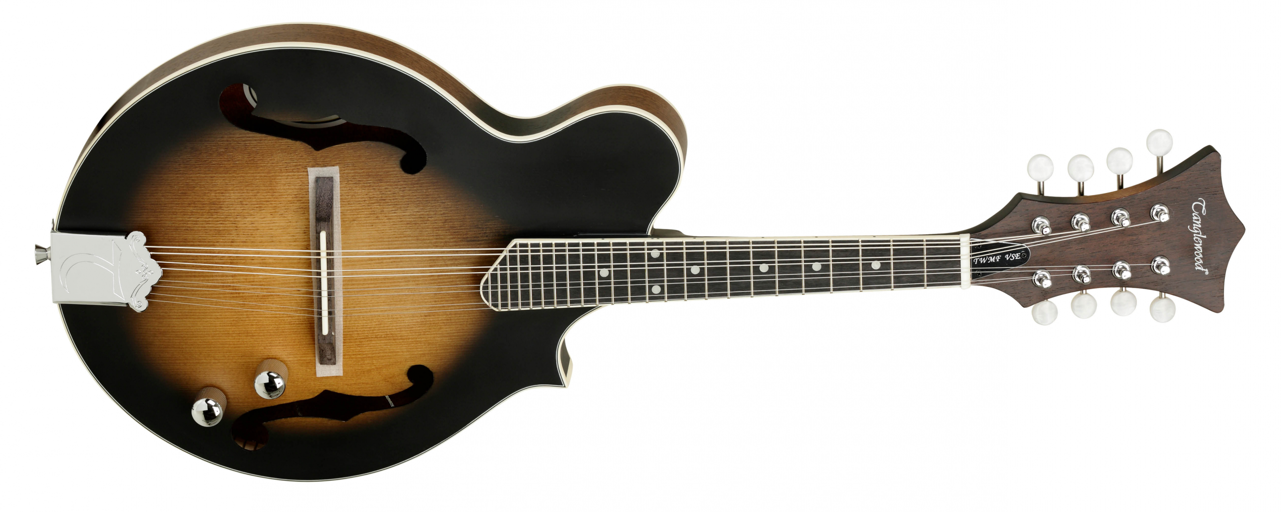 Tanglewood Mandolins TWMFVSE mandoline 8 cordes