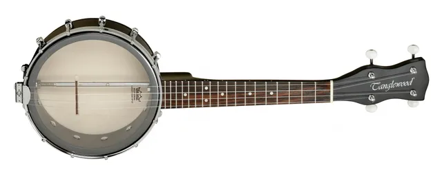 Tanglewood Banjos TWBU banjo 5 cordes