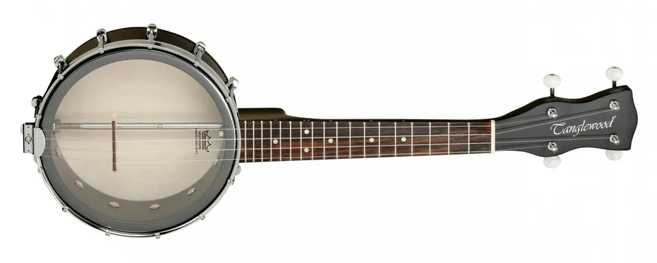 Tanglewood Banjos TWBU banjo 5 cordes