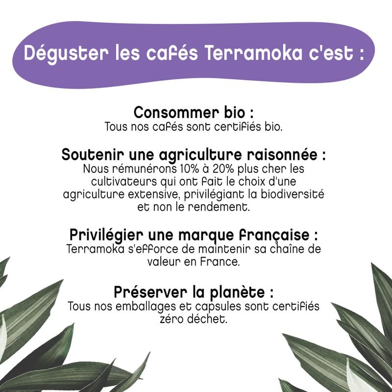 Terramoka Inès Café grains bio arabica Papouasie 1 kg acidulé