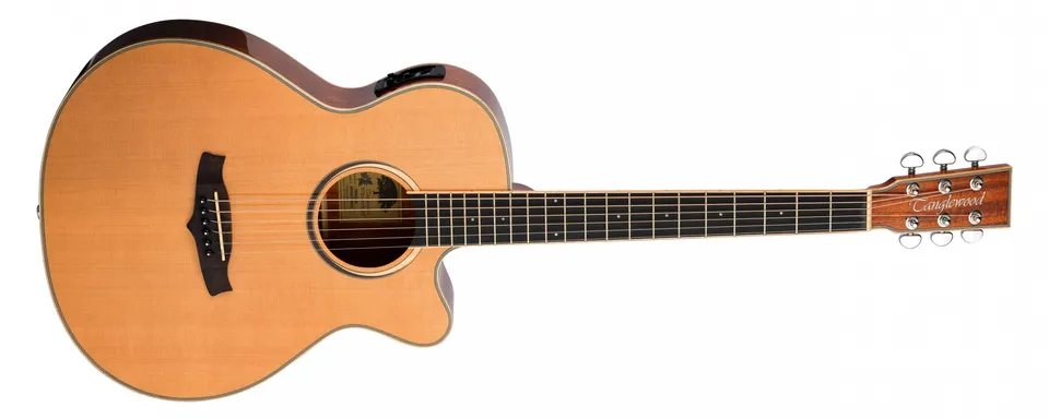Tanglewood Winterleaf TW4CENA guitare folk électro