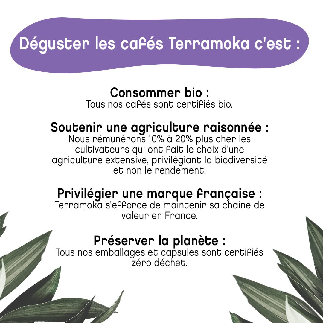 Terramoka Inès capsules café bio Papouasie 300 épicé